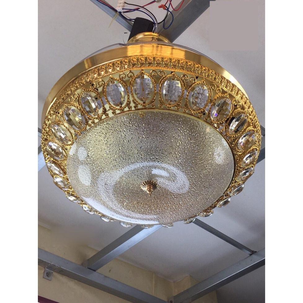 Trang trí LED MONKY cánh cụp xòe 3 chế độ ánh sáng