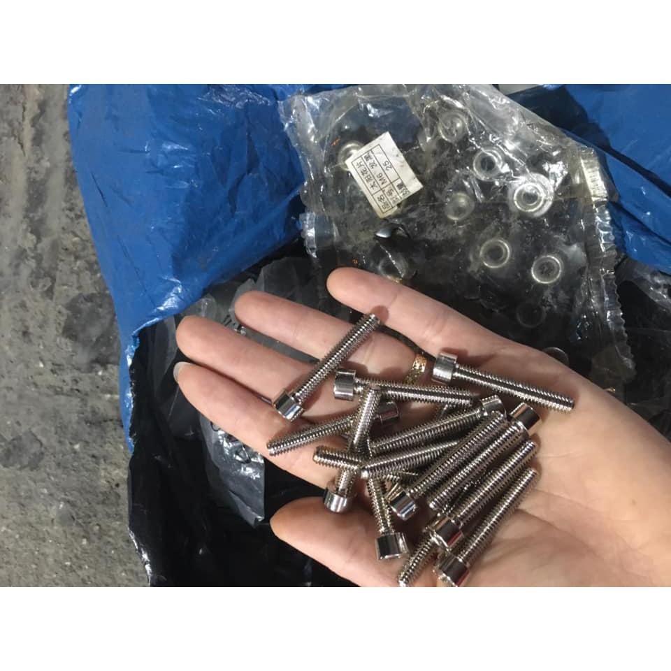 Ốc vít và lõi hoa Bát Phốt M6 x 40mm