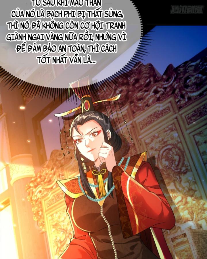 không ngờ kiều thê là phe phản diện chapter 2 36