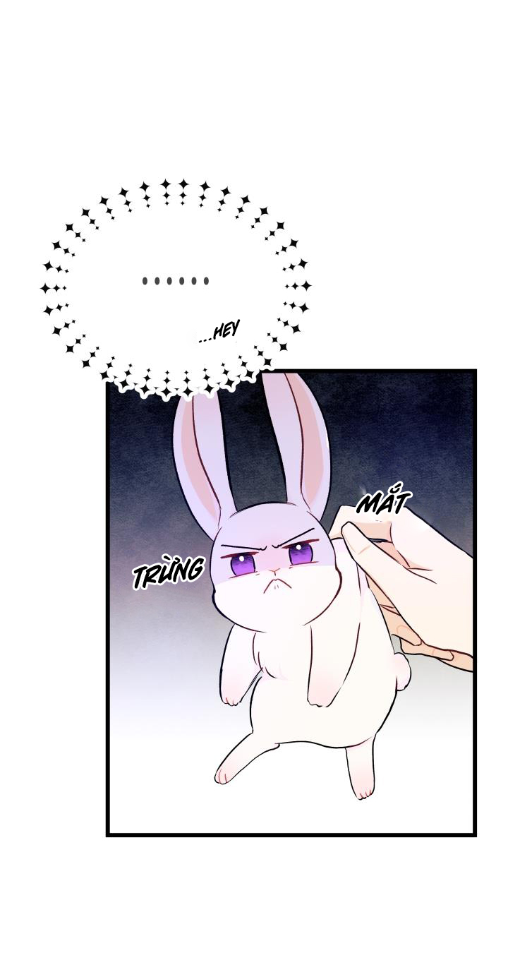 mối liên kết giữa báo đen và bé thỏ chapter 10 33