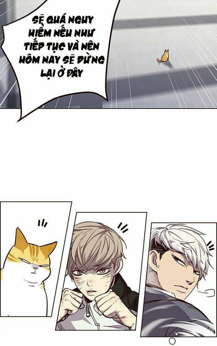 biến thân thành mèo chapter 26 19