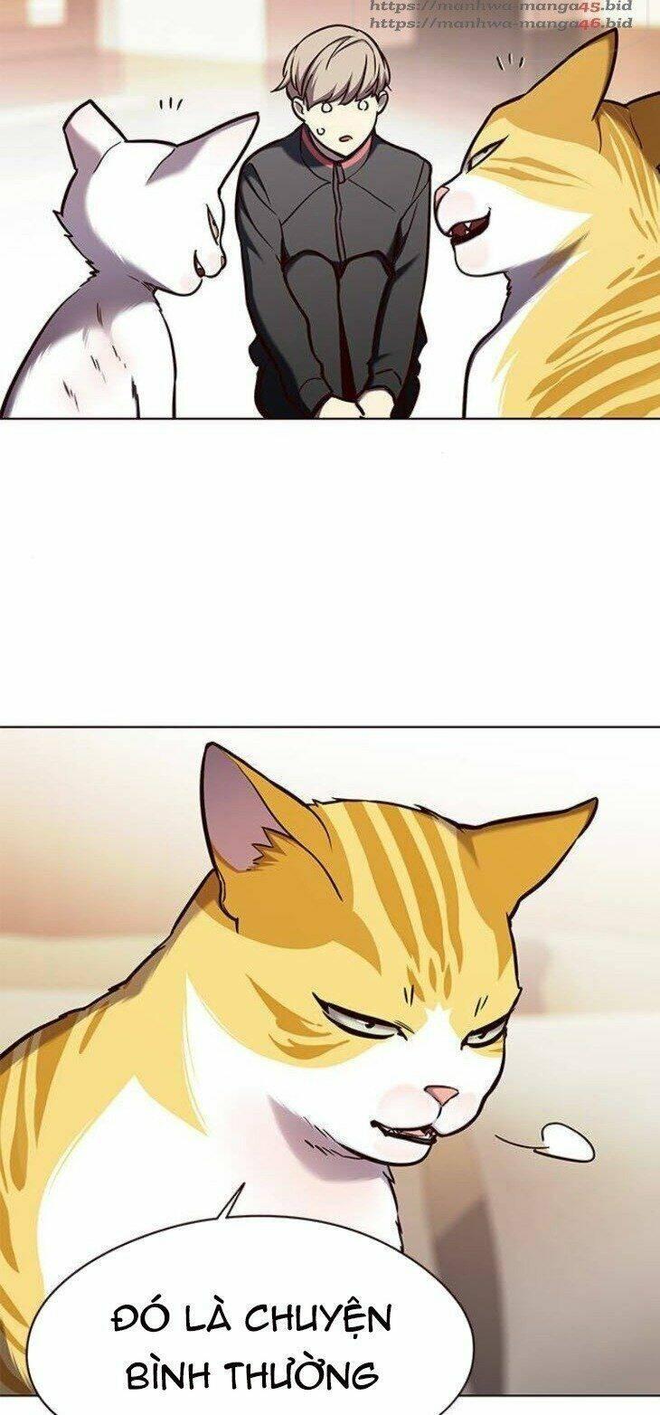 biến thân thành mèo chapter 146 44