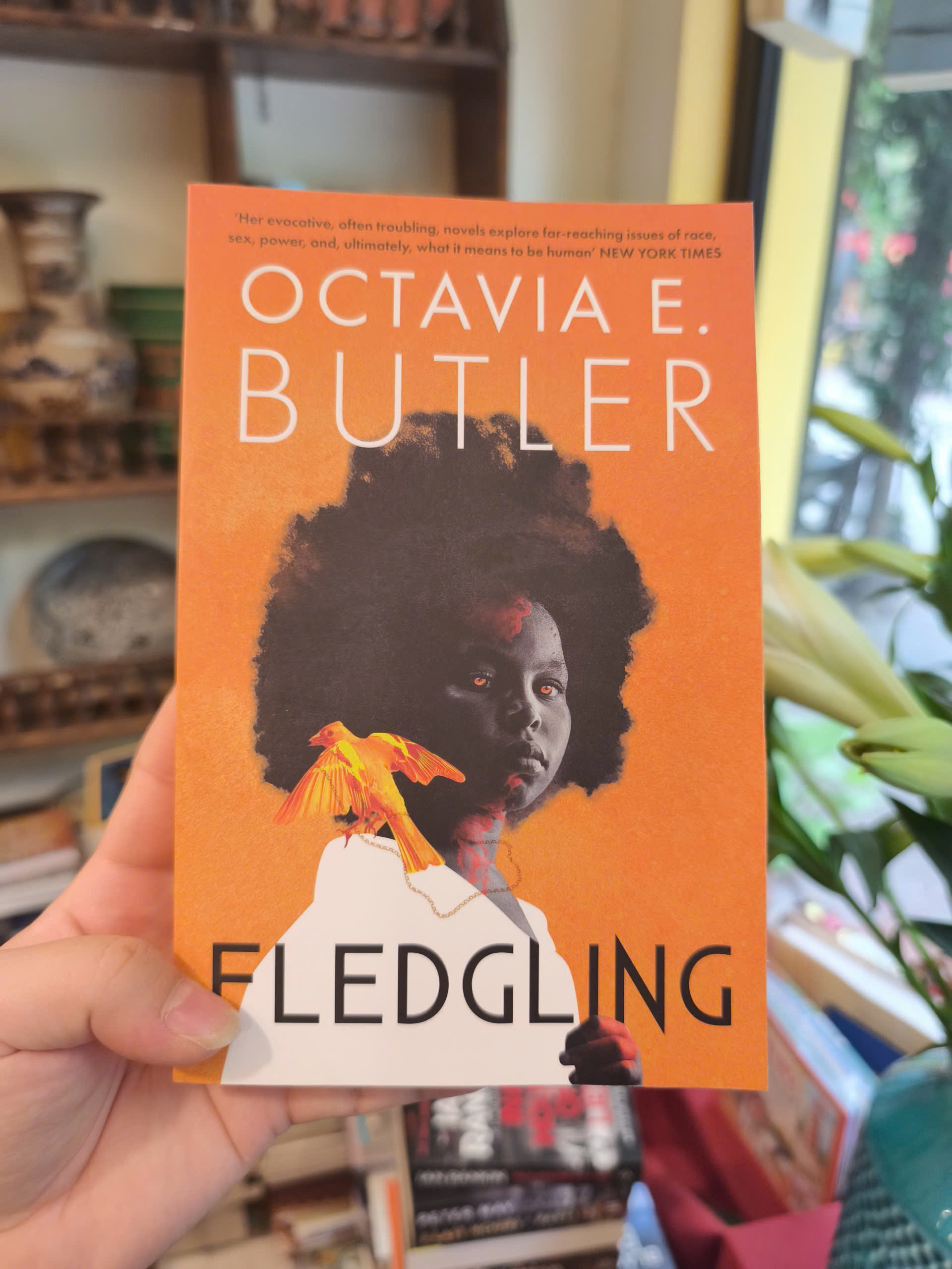 Sách - Fledgling by Octavia E. Butler | Fantasy / Horror Fiction / Ngoại văn Nhập khẩu UK