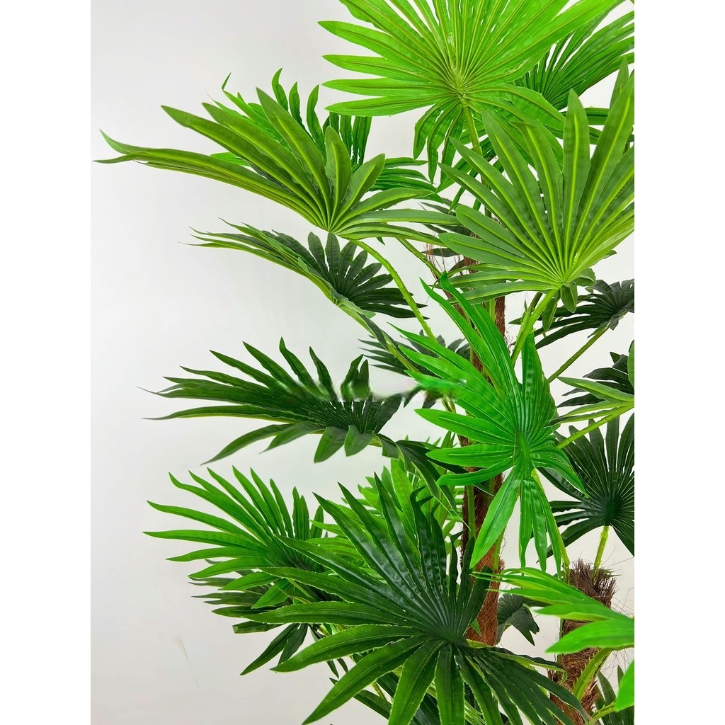 Cây cọ giả - Chiều cao từ 170cm đến 180cm - Cây giả, hoa lụa Decor trang trí nhà cửa