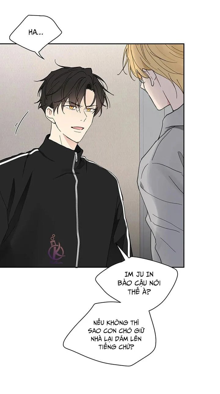 tâm tư của ju in chapter 71 12