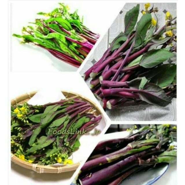 Hạt Giống Rau Cải Ngồng Đỏ -