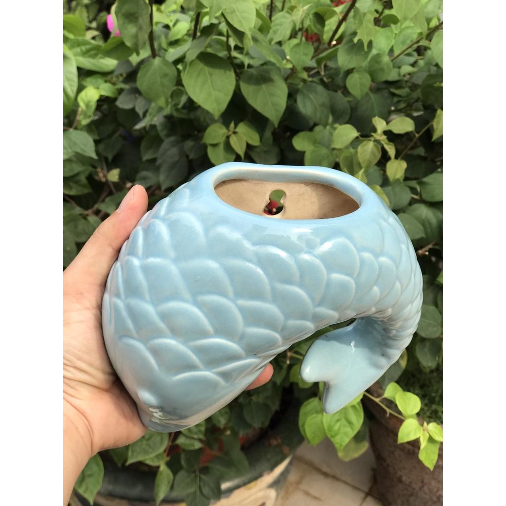 CÁ TREO TƯỜNG GỐM SỨ TRANG TRÍ TRỒNG CÂY DECOR