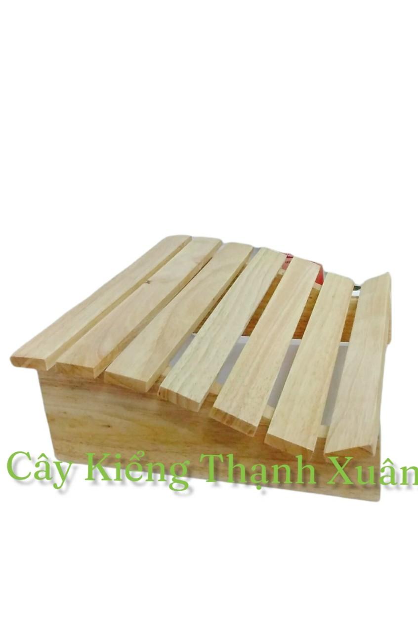 Ghế Gỗ Kê Chân Văn Phòng Thoải Mái, Ghế Gác Chân Dễ Chịu, Cây Kiểng Thạnh Xuân