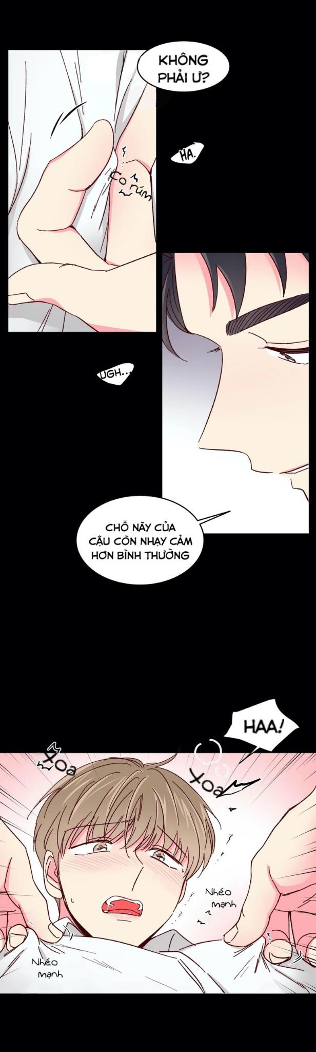 món tráng miệng của sếp tổng chapter 40 20