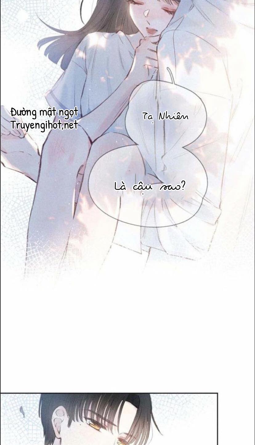 nỗi buồn của hoa cẩm tú cầu chapter 11 1