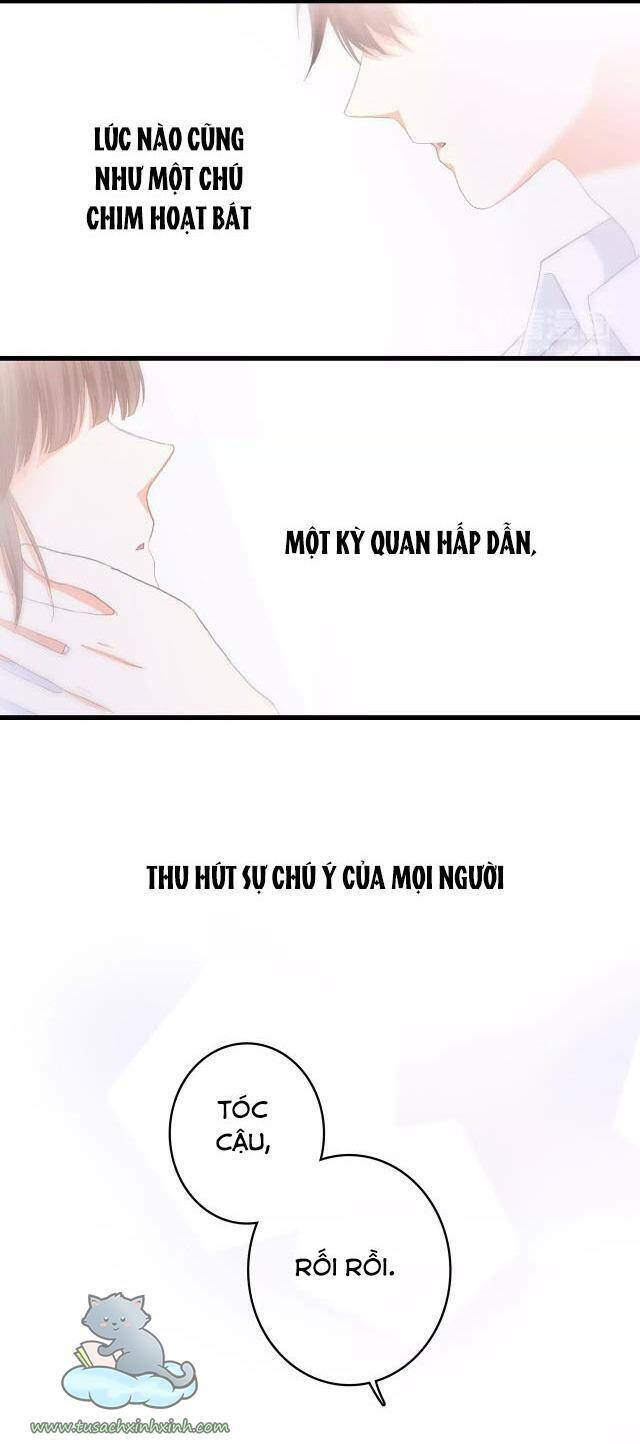 con tim rung động 3 chapter 53 29