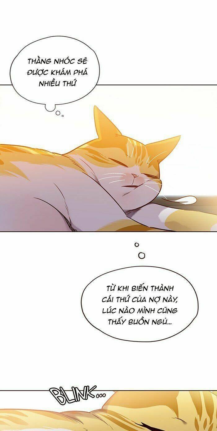 biến thân thành mèo chapter 70 7