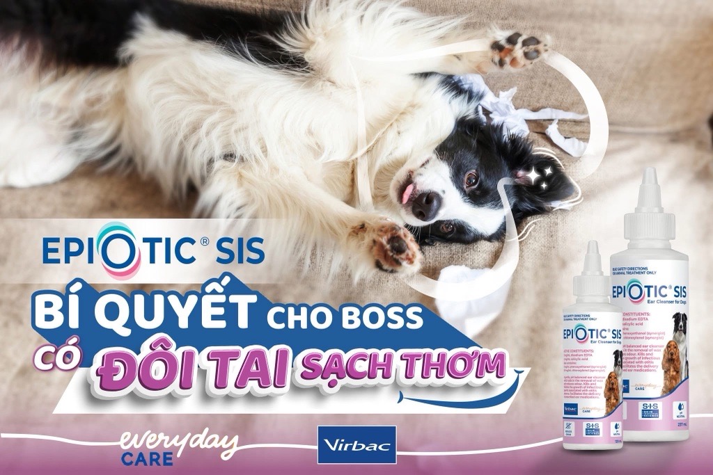 Dung dịch vệ sinh tai chó Epiotic (Virbac, Úc, mẫu mới)
