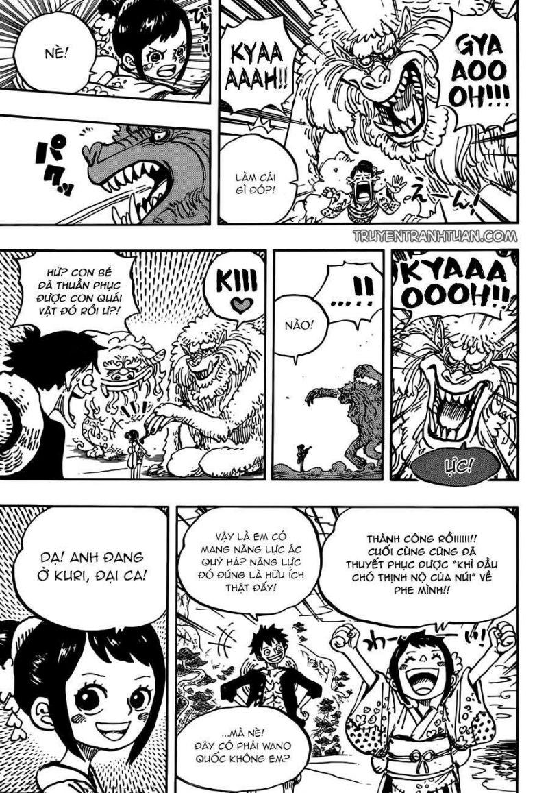 đảo hải tặc - one piece chapter 911 10