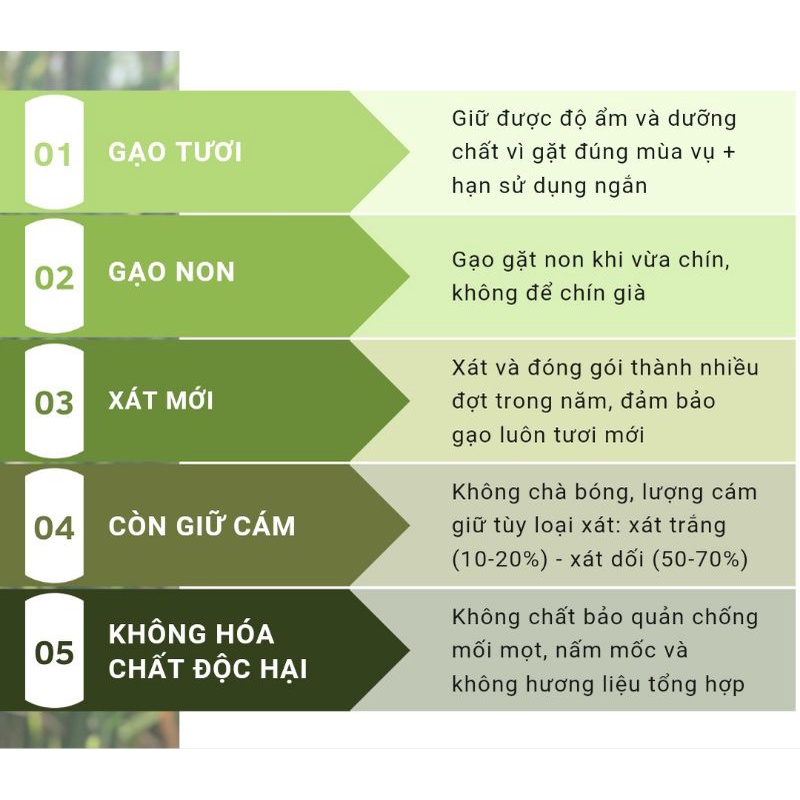 Gạo An Nông ST25 - Gạo Ngỗng ngon sạch túi 700gr