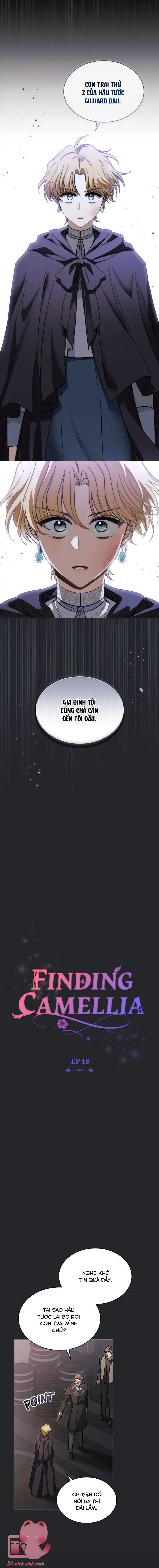 kiên nhẫn chút nào, đại công tước chapter 48 8