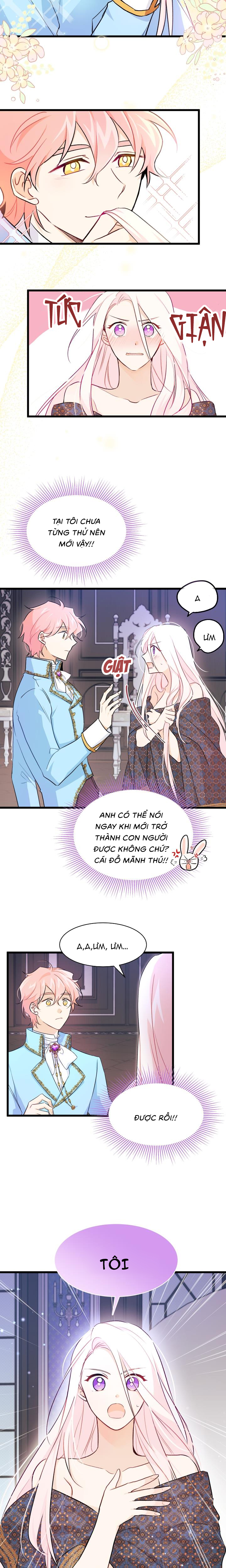 mối liên kết giữa báo đen và bé thỏ chapter 20 11