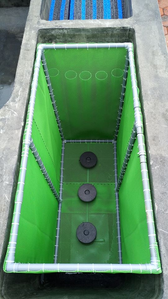 Đĩa Sủi Khí Cao Su Jager của Đức cho Hồ Koi