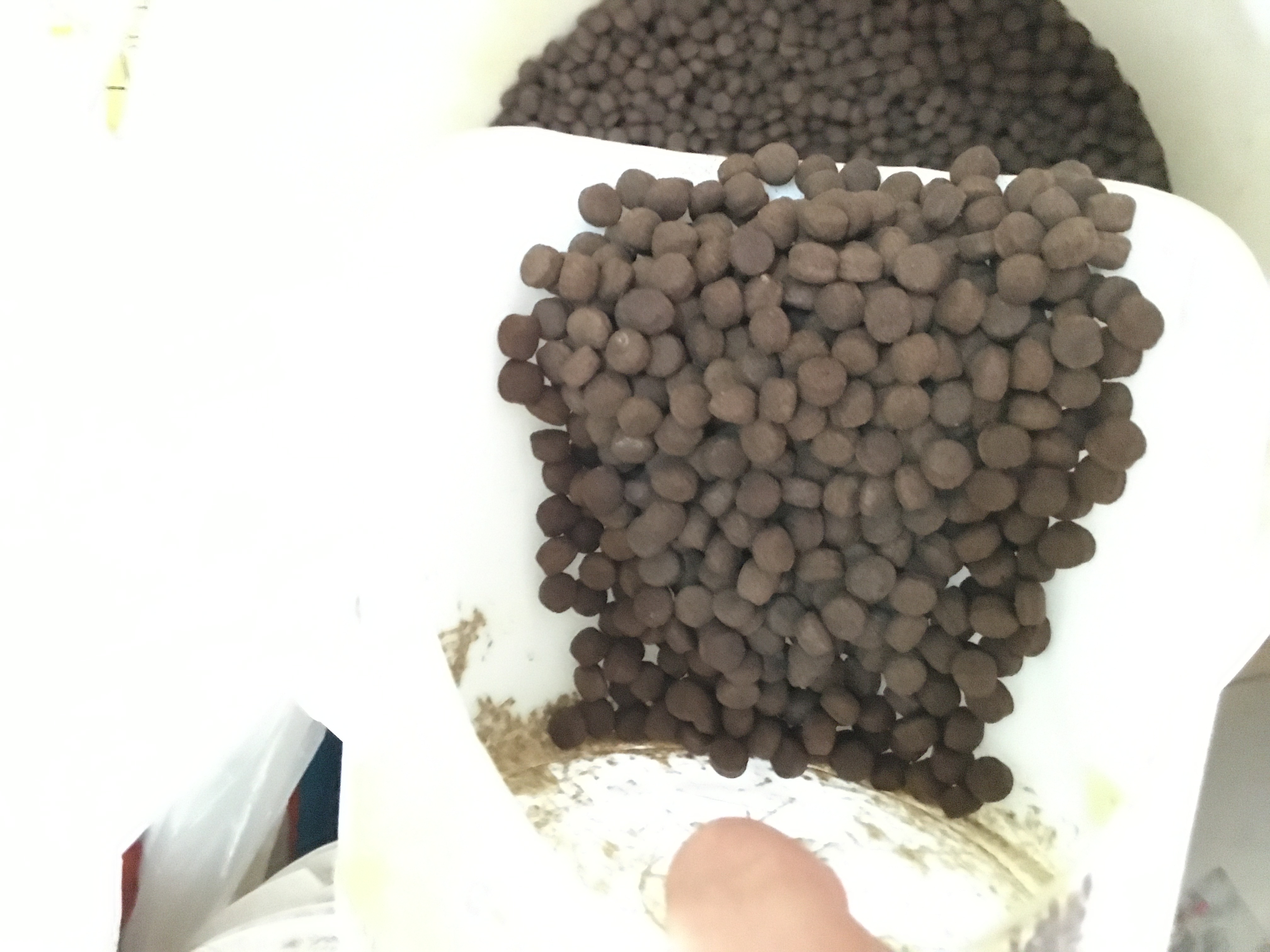 Thức ăn cá 10ly thường dùng cho mọi loại cá koi , cá ruby, cá betta , cá chép,cá lóc , cá rô 0,5kg/gói