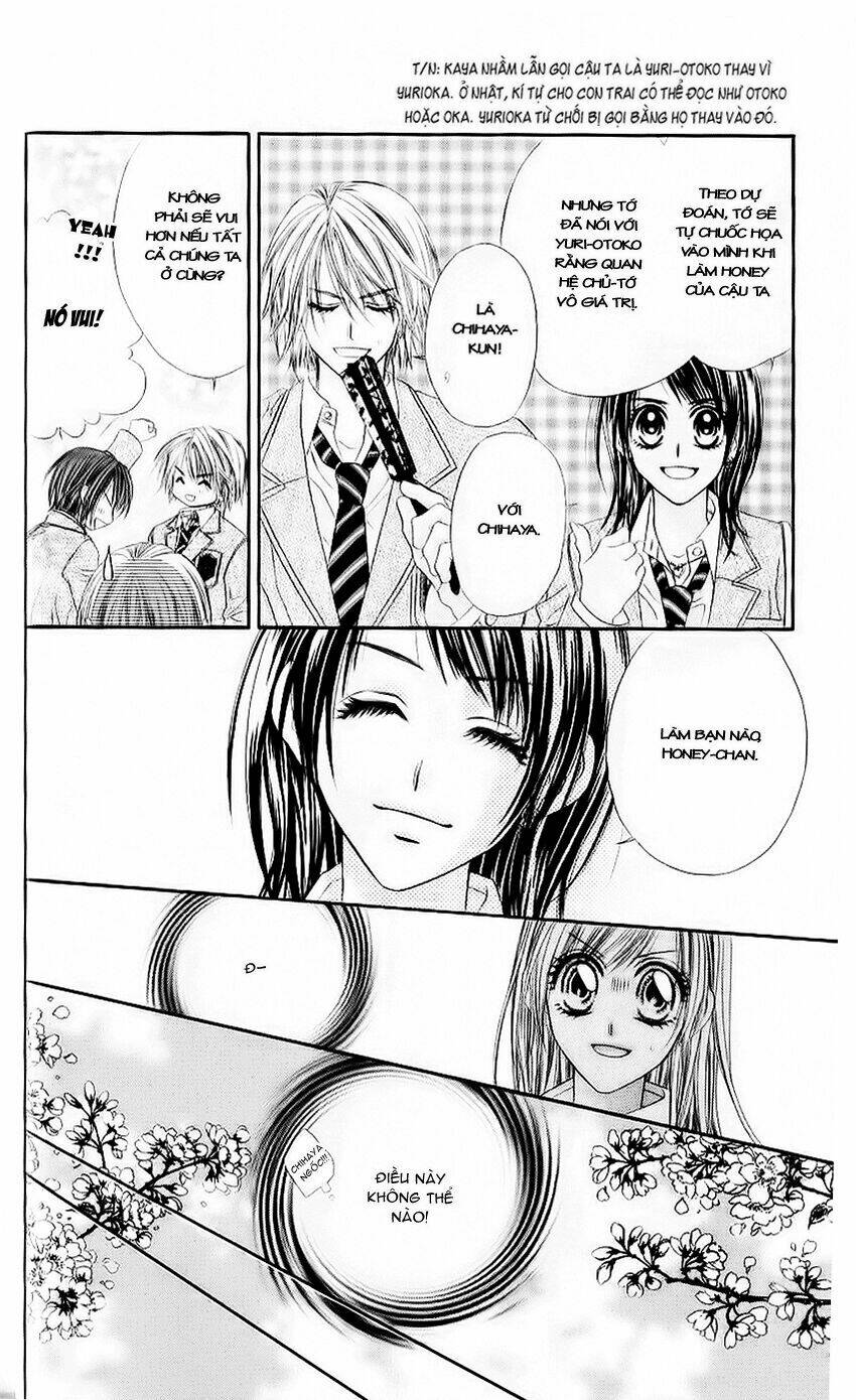 honey x honey drop chapter 18 14