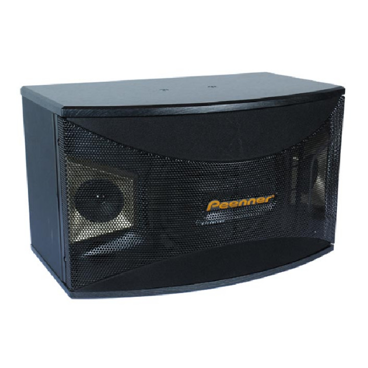 Bộ 2 Loa Karaoke Nghe Nhạc Gia Đình Peenner PS-990 Bass 25cm từ đôi, Thùng gỗ sơn chống trầy - Hàng cao cấp chính hãng