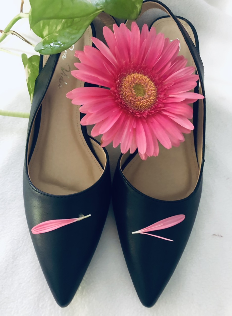 Sandal cao gót trụ 7 phân đốn tim mọi cô nàng