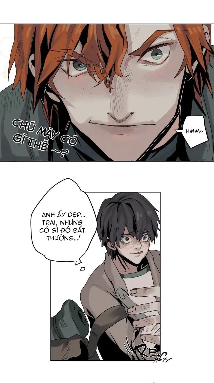 ánh nhìn của quạ chapter 3 8