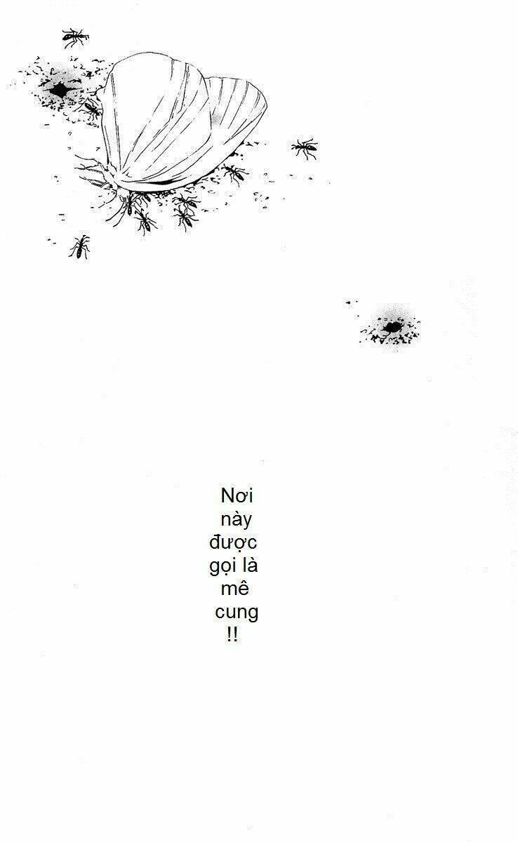 mayonaka no ariadone chapter 1 3