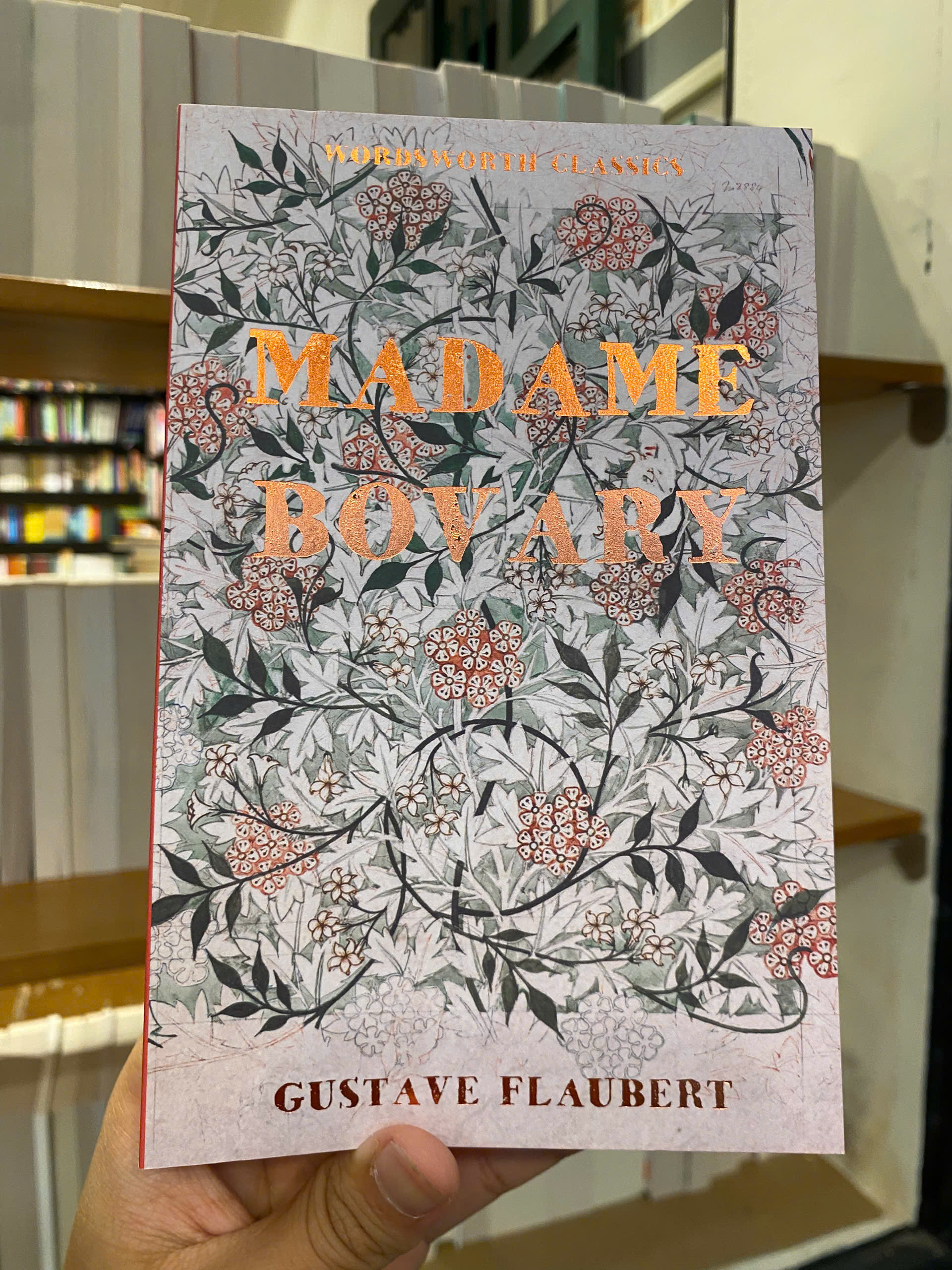 Sách - Madame Bovary (Wordsworth Classics) by Gustave Flaubert | English Book - French Literature