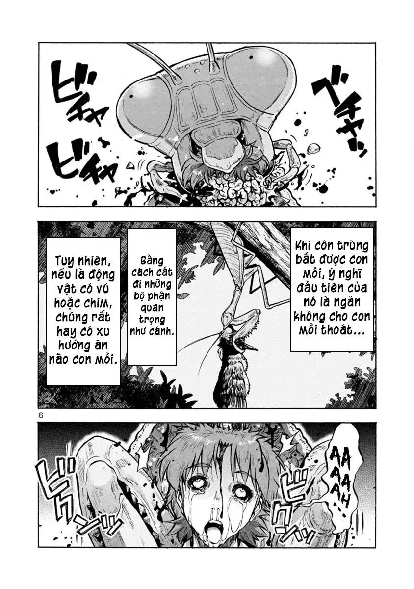 Siêu Đảo Côn Trùng chapter 14.1 6