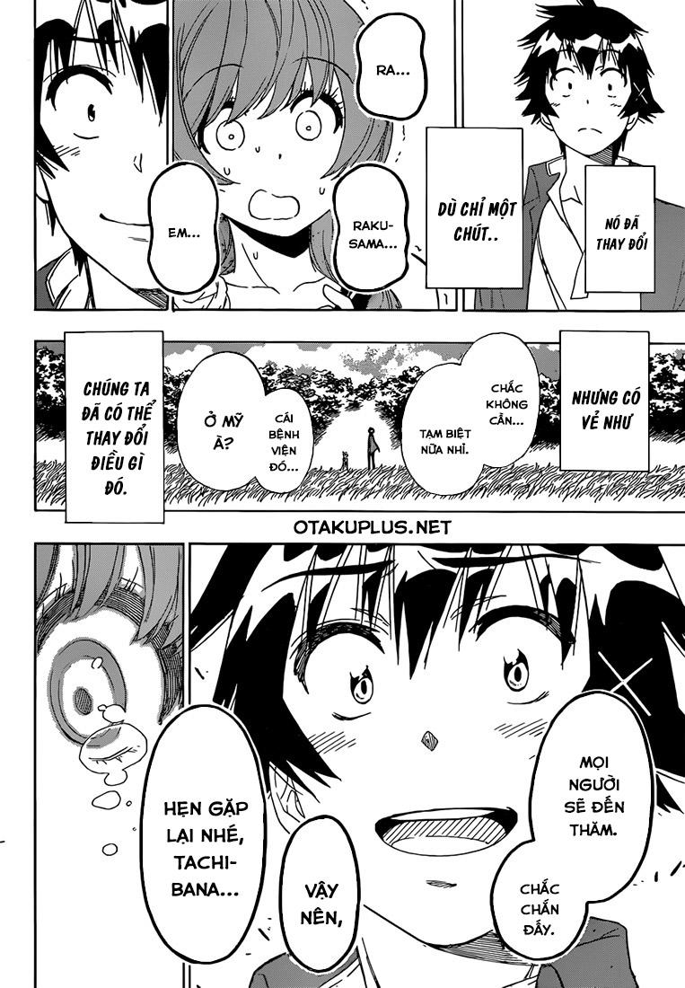 nisekoi - tình yêu giả tạo chapter 194 19