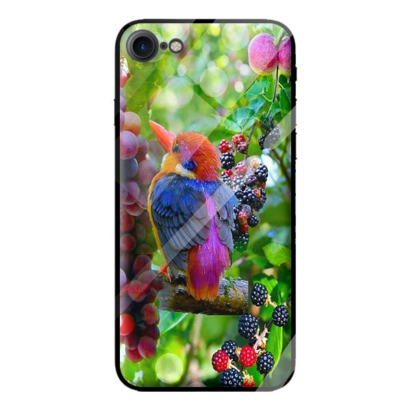 Ốp lưng kính cường lực cho iPhone 7 CHIM 8 - Hàng chính hãng