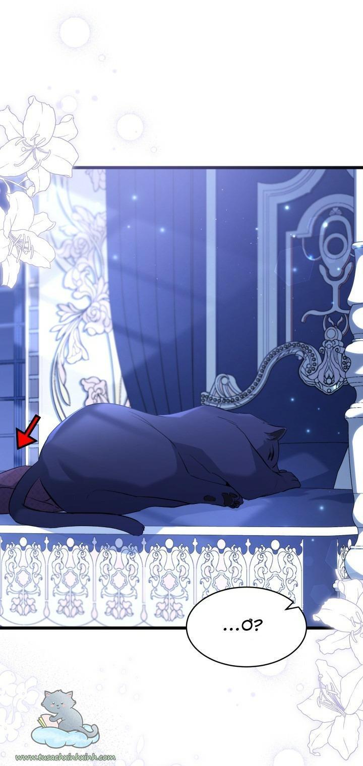 quan hệ cộng sinh giữa báo đen và thỏ trắng chapter 54 15