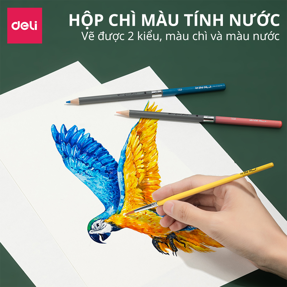 Bút Chì Màu Nước Cao Cấp Nusign - 48/72 Màu Tặng Kèm Cọ Vẽ - Dùng Dạng Khô Hoặc Nước Để Tô Màu, Vẽ Tranh