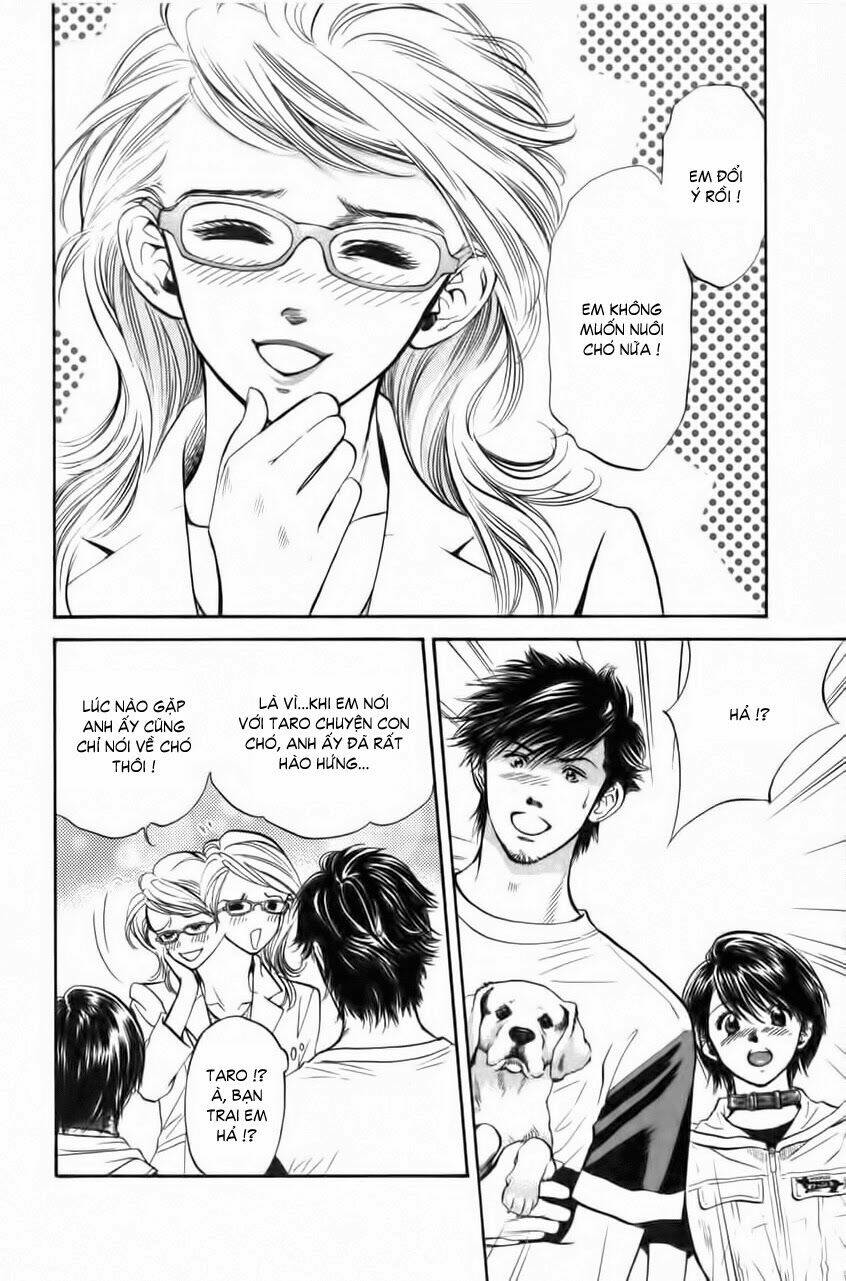 cô nàng yêu chó chapter 33 16