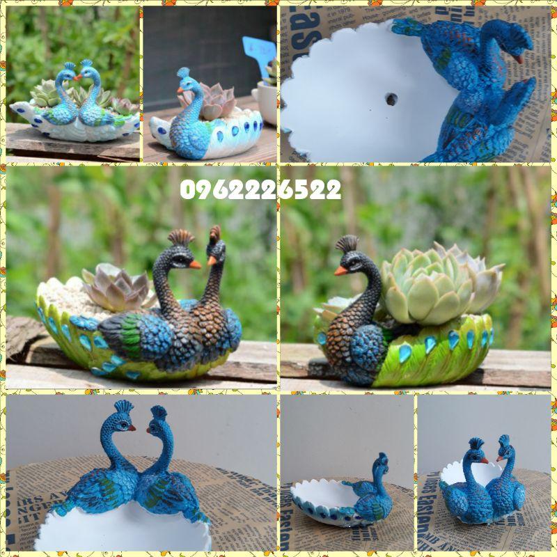 Chậu trồng cây mini hình chim công
