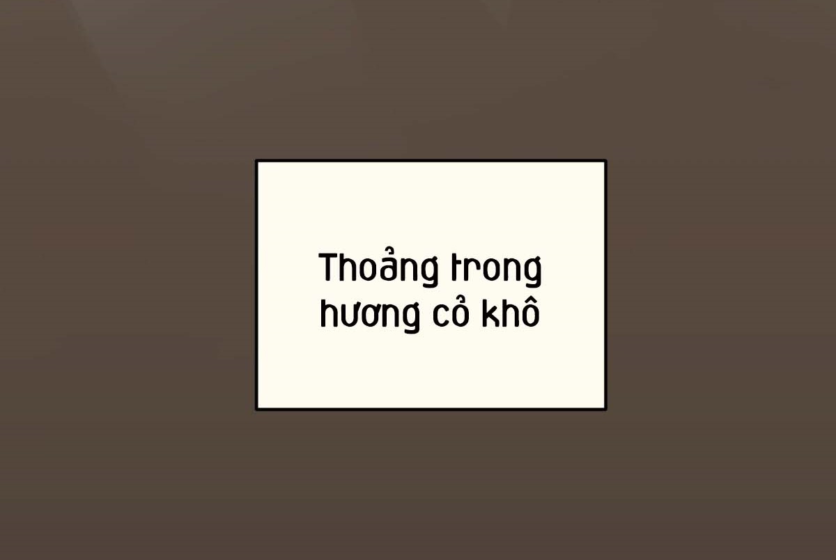 tương phùng chapter 27 35