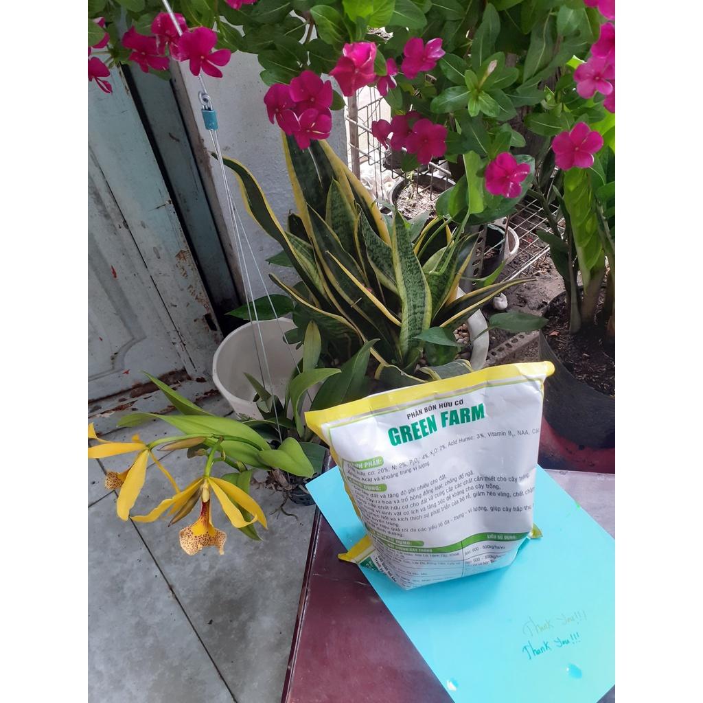 Phân bón hữu cơ 1 ký