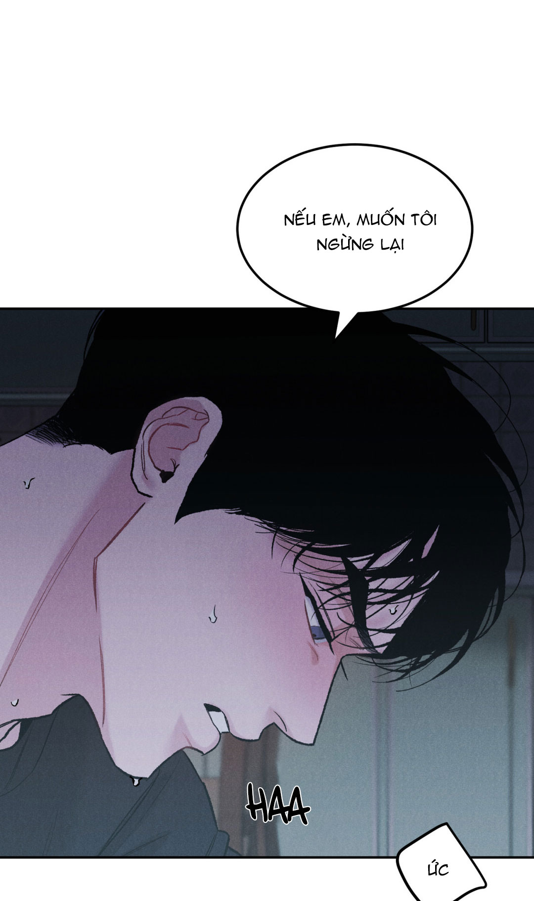 limited run chapter 28 48