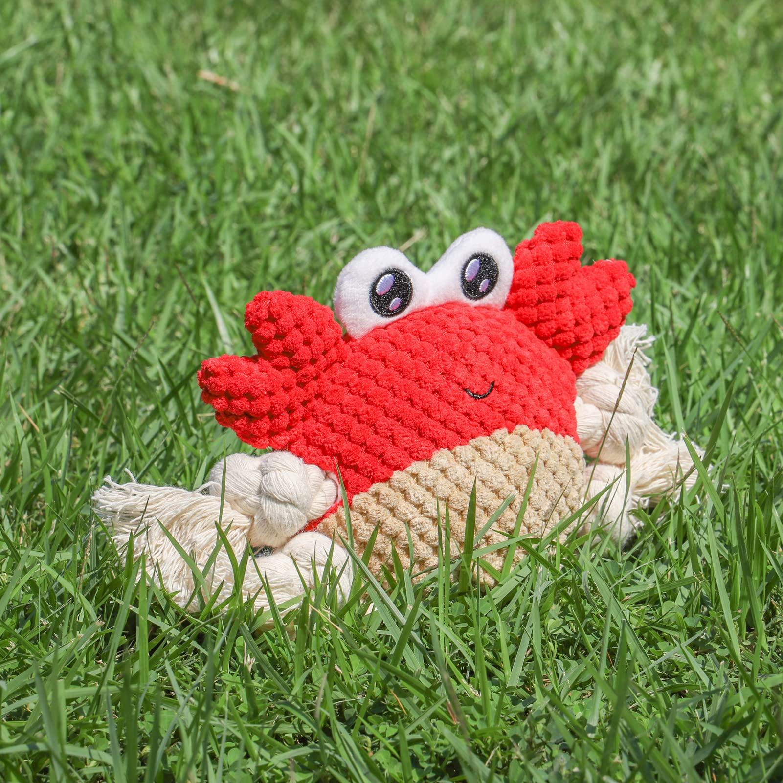 Plüsch Dog Toy Squeaky Tương tác K Đồ chơi với chân dây mạnh, kéo chiến tranh cho chó con, chó nhỏ, vừa và lớn