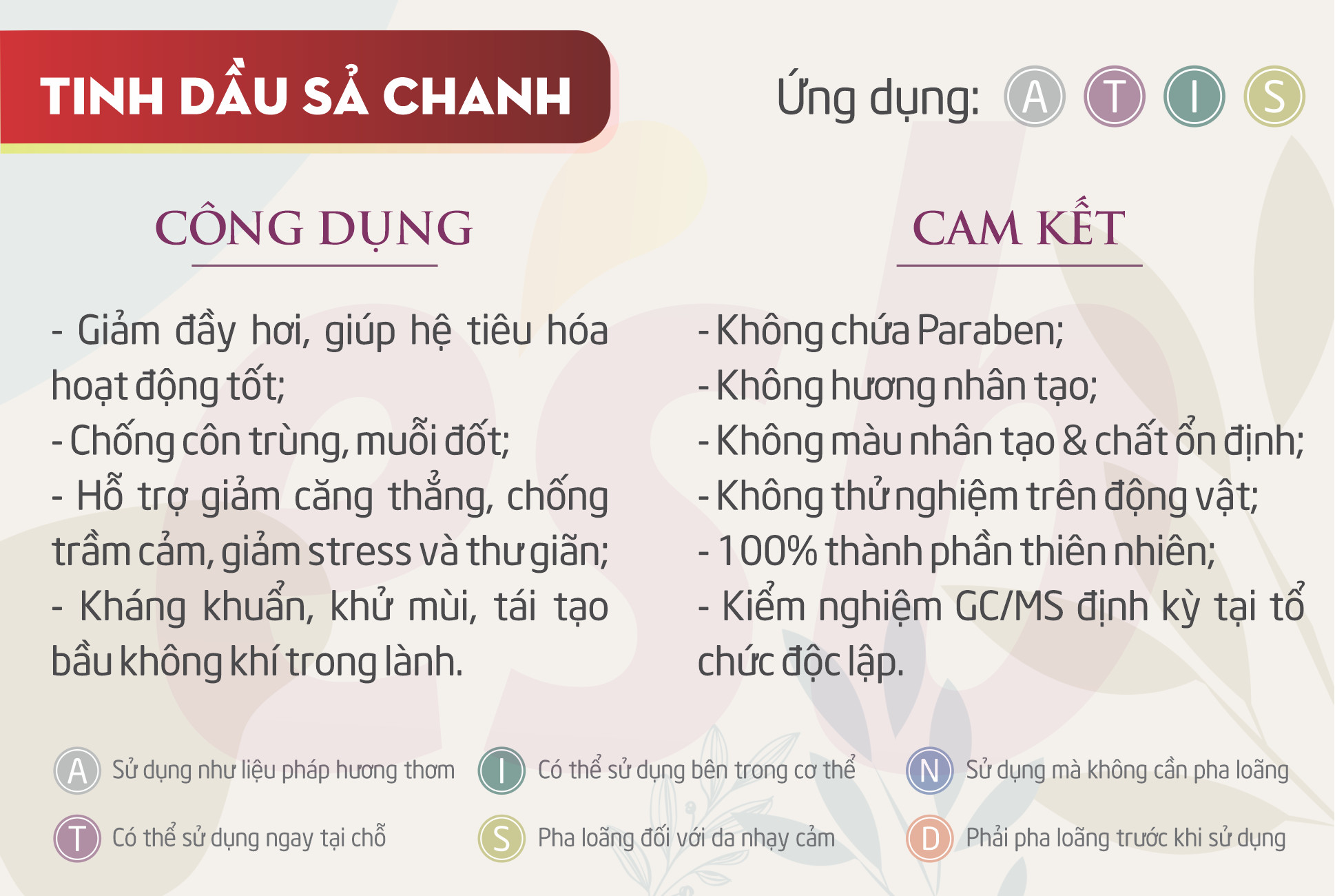 Combo 3 Tinh Dầu Essenbee: Tinh Dầu Sả Chanh (30ml) + Tinh Dầu Bưởi (30ml) + Tinh Dầu Bạc Hà Nguyên Chất (20ml)