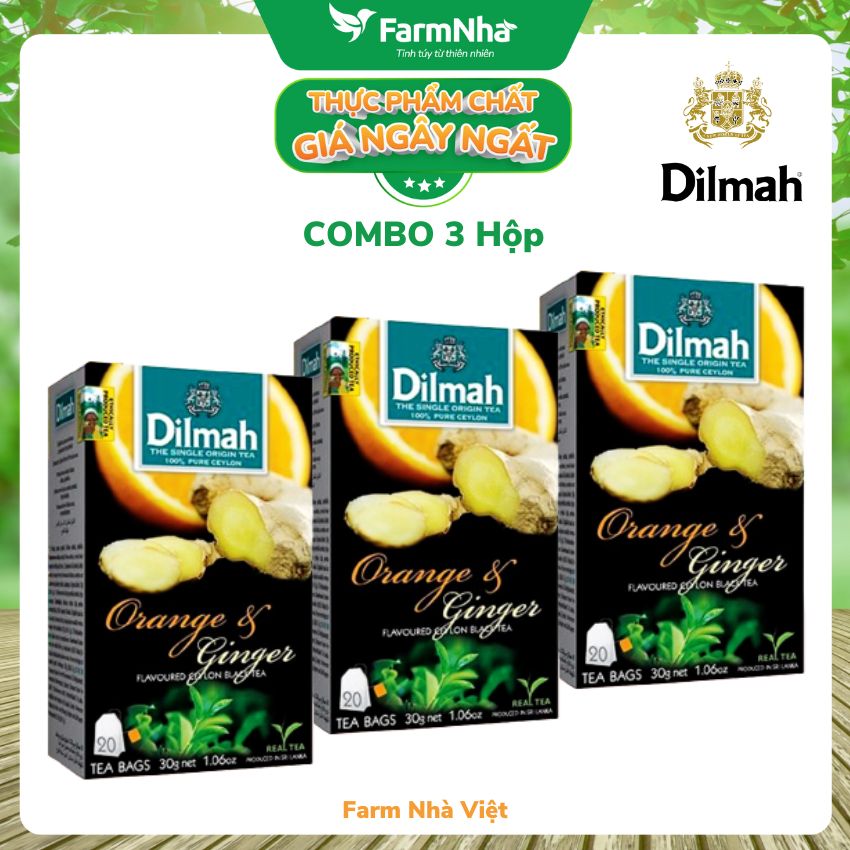 Trà Dilmah Orange & Ginger Vị Cam Gừng túi lọc 30g 20 túi x 1.5g - Tinh hoa trà Sri Lanka