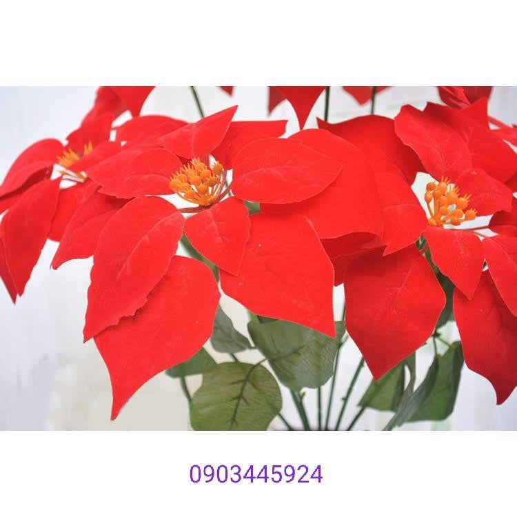 Cây Trạng Nguyên Nhựa Pvc