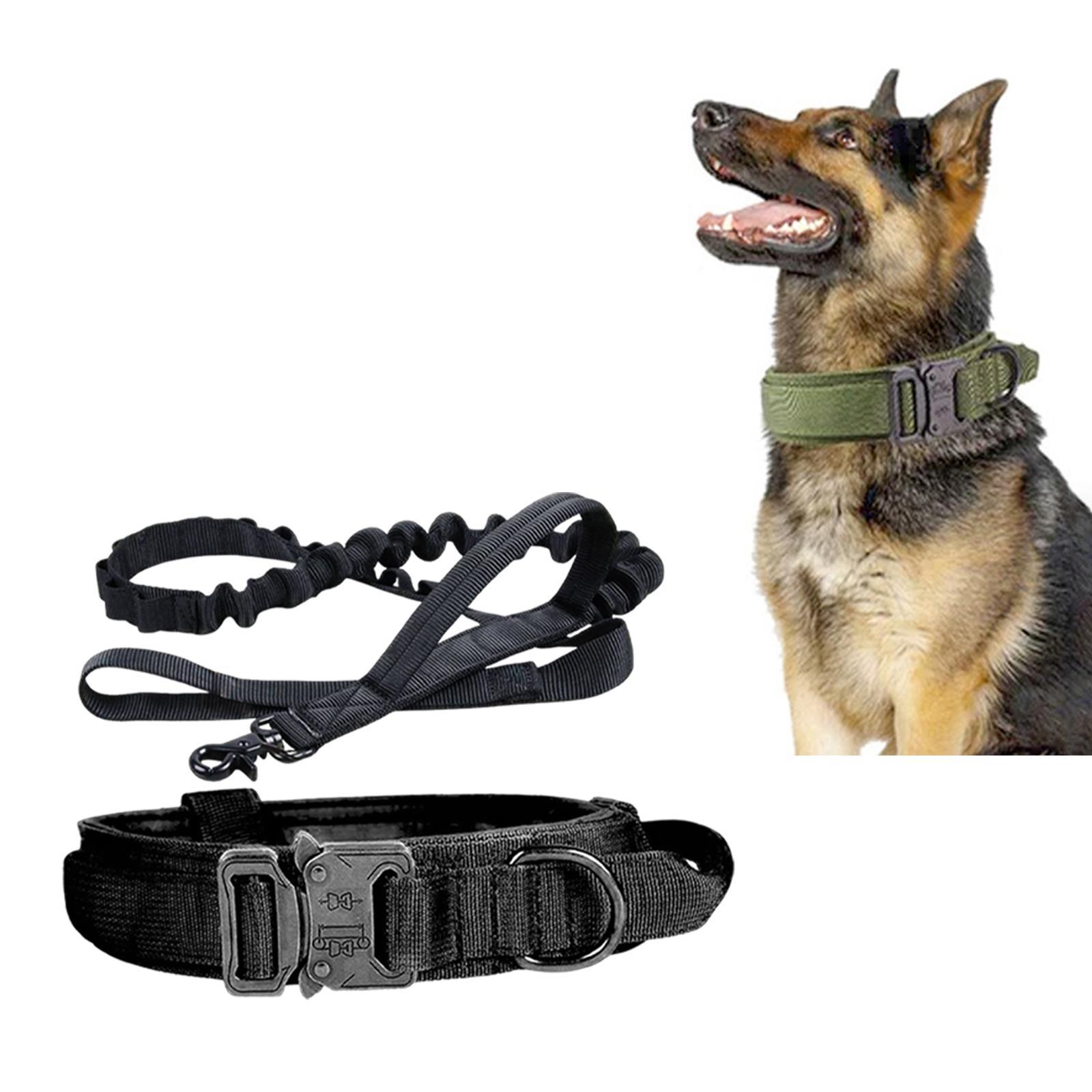 And Leash Set with Handle w/ Metal Buckle Adjustable
