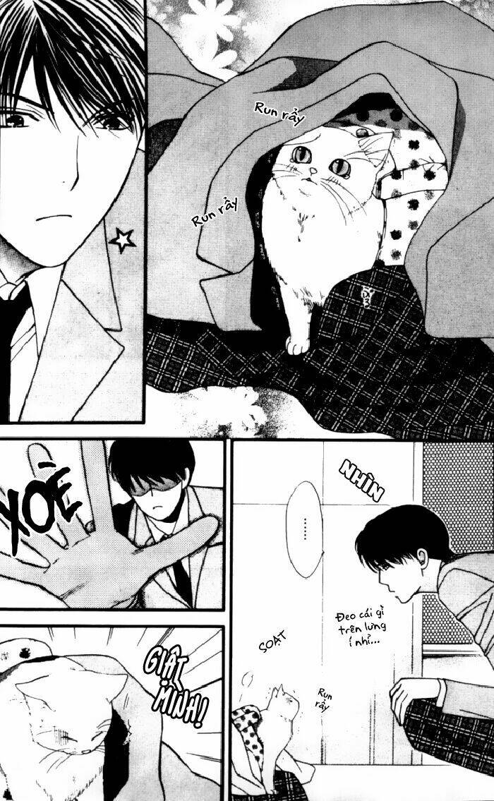 neko neko honey chapter 1 11