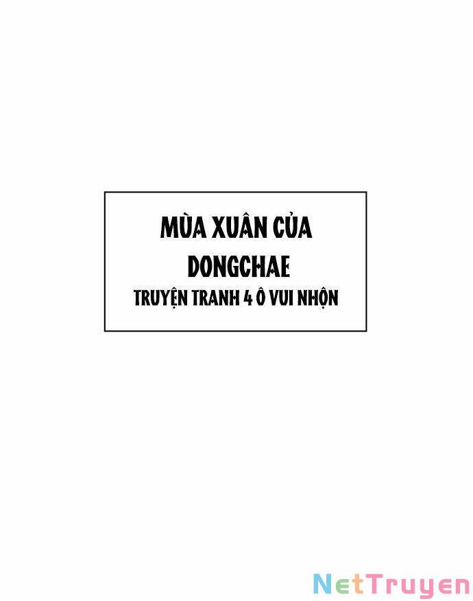 thanh xuân rực rỡ - season of blossom chapter 129 4