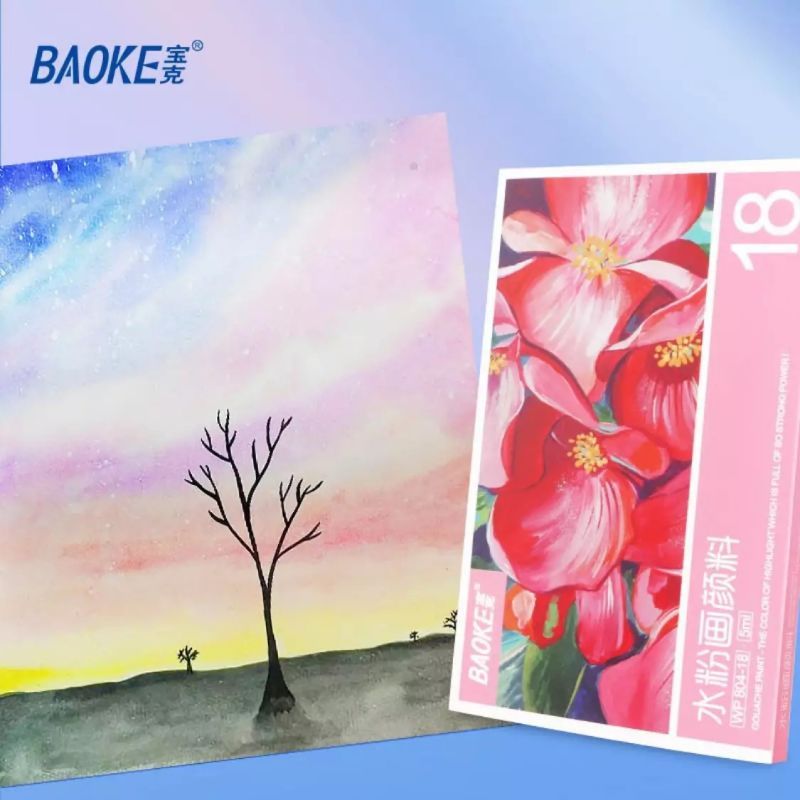 Màu nước Acrylic 18 màu Baoke 804-18