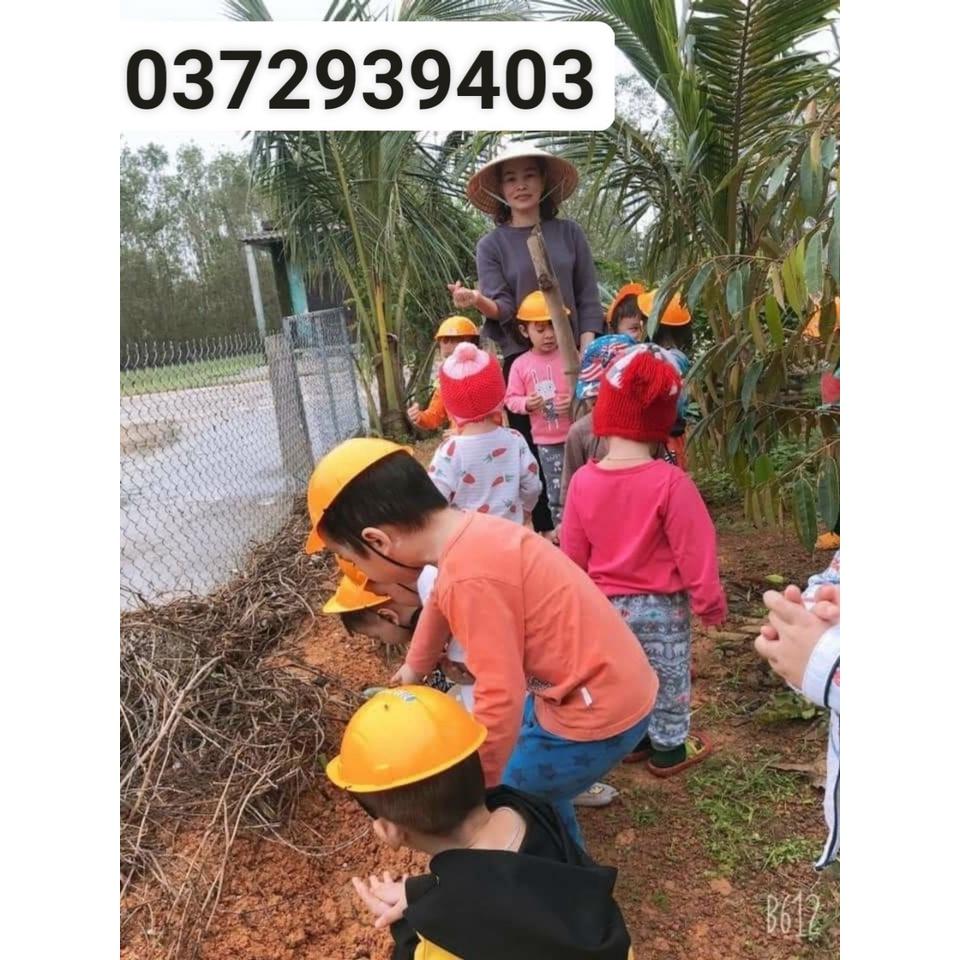 Mũ bảo hiểm ,mũ xây dựng kỹ sư