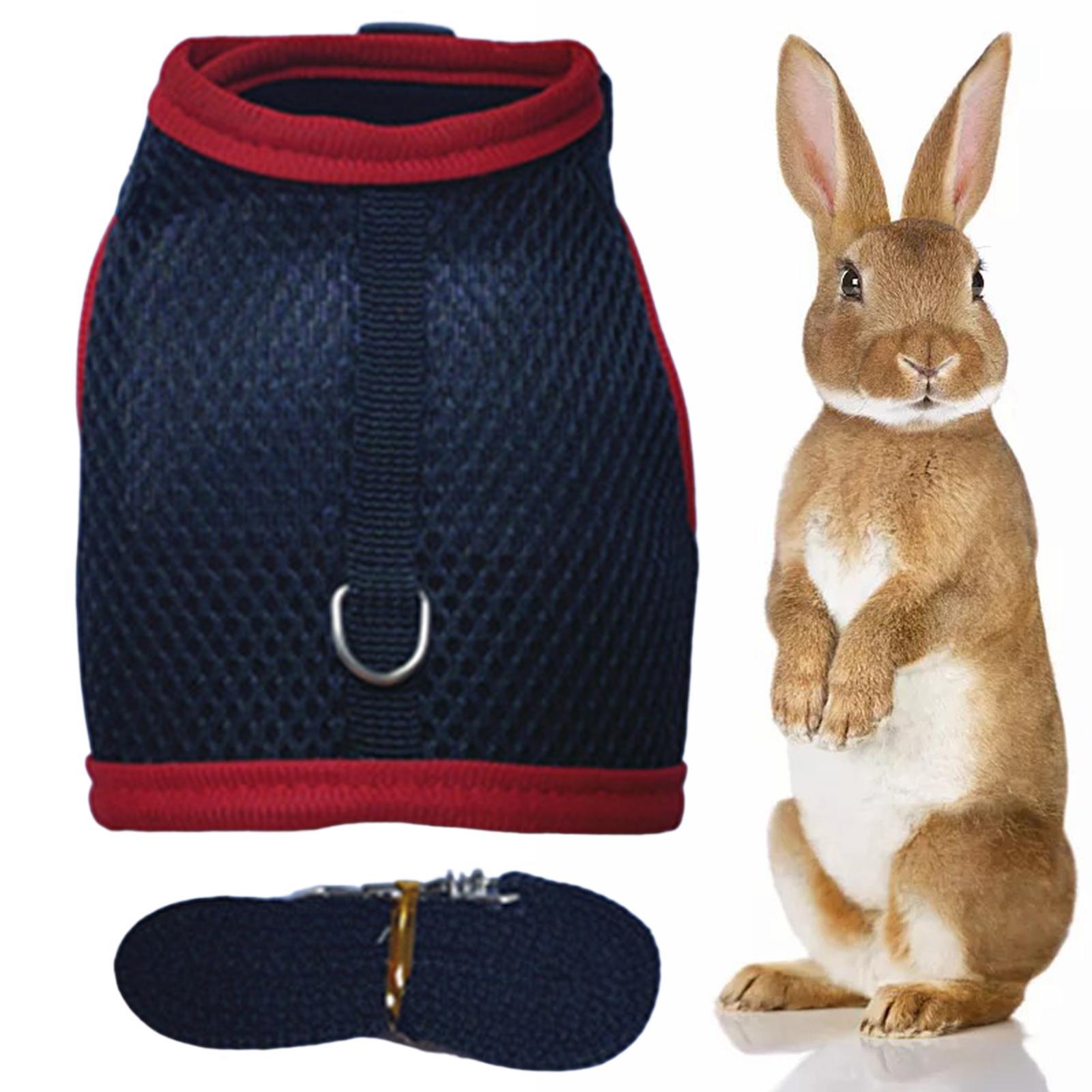 Rabbit Harness and Leash Set Mesh Vest Harness for Bunny Kitten Guinea