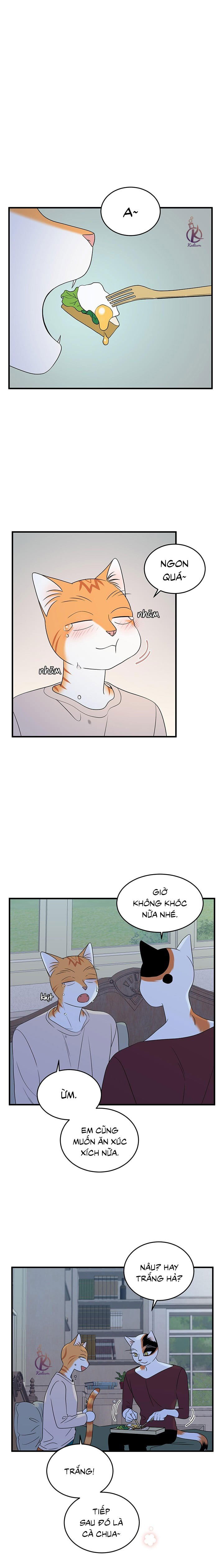 dự án xanh chapter 36 1